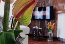 บาร์ คาเฟ่ และเลานจ์ DION Hotel Villach