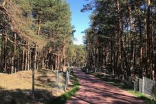 公共空間 Magnolia Guest House