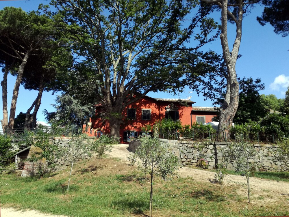 Exterior B&B Vigna dell'Agrifoglio