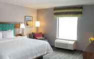 Bedroom 2 Hampton Inn & Suites Dundee
