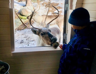 ล็อบบี้ 2 Igluhut sleeping with reindeer