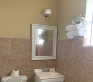 In-room Bathroom 6 Economy Inn Motel
