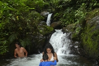 Swimming Pool Desarrollo Biodiverso