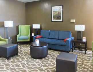 Lobi 2 Comfort Inn & Suites