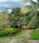 VIEW_ATTRACTIONS Mulu Diana Homestay
