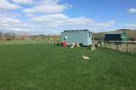 Common Space Shepherd's Hut @ Westcote