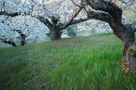 Common Space Casa Rural Arenaria