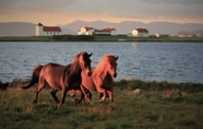 Tempat Tarikan Berdekatan 4 House Breiðabólsstaður