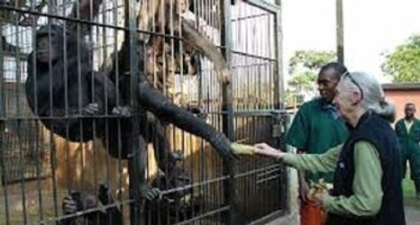 Lobi 2 Antique Apartments