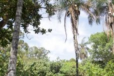 Ruang Umum Pousada Linda Flor Veadeiros