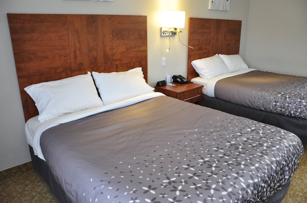 Kamar Tidur 4 Moonlight Inn and Suites