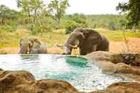 Swimming Pool Motswari Private Game Reserve Resort by NEWMARK