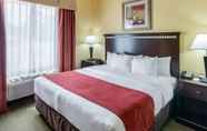 Bedroom 7 Comfort Suites