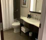 Toilet Kamar 2 Sheraton Brooklyn New York Hotel