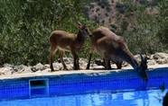 Swimming Pool 2 Casas Rurales Los Algarrobales - Cottages