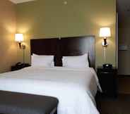 Bilik Tidur 2 Hampton Inn Dandridge