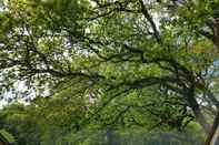 Common Space Meadow Oak