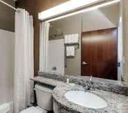 In-room Bathroom 7 Microtel Inn & Suites by Wyndham Michigan City