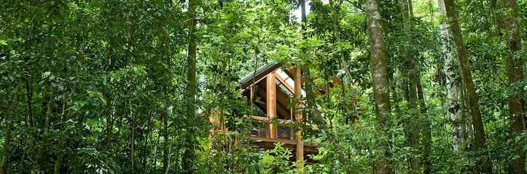 Luar Bangunan The Canopy Rainforest Treehouses and Wildlife Sanctuary