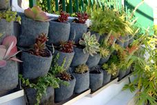 로비 Apartamentos Bogotá