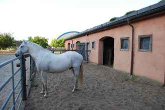 Exterior 4 Ferienwohnung auf Pferdehof bei Neustadt