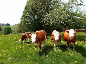 Bên ngoài 4 Landhotel Bayerwald