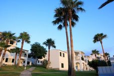 外部的 TRH Tirant