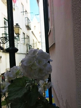 Exterior 4 Nomad's Alfama Flats - Typical Street