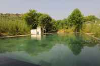 Swimming Pool Trees & Tigers