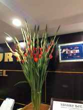 Lobi 4 Luxury Hotel Hai Phong