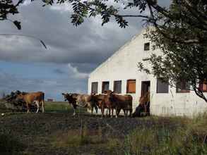 Bangunan 4 Dalssel Farm Guesthouse