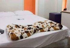 Bilik Tidur 3 Pousada da Lene