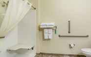 In-room Bathroom 7 Cobblestone Hotel & Suites - Urbana