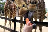 Exterior Roar and Snore at Taronga Zoo Sydney