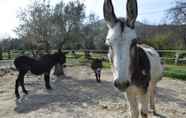 Fitness Center 6 Fattoria Sociale Il Giardino dei Ciliegi