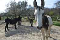 Fitness Center Fattoria Sociale Il Giardino dei Ciliegi