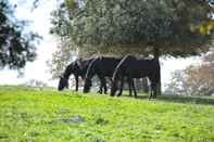 Fitness Center Masseria Tagliente