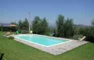 Swimming Pool 7 Olivo