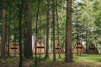 Forest Camping Mozirje