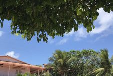 外觀 Casa do Francês