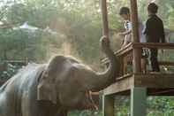 Bên ngoài Chiang Mai Elephant Friends