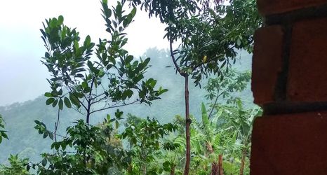 Others 2 Kopikuin Bromo