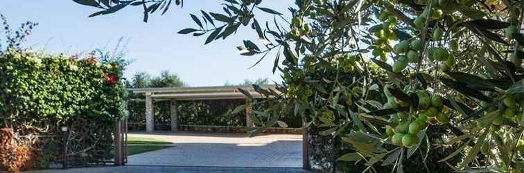 Exterior Cozy Flat In An Olive Grove Near a Sandy Beach