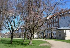 Others 2 Sanders Penny - Cute 2-bdr Apt in City Center