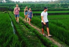 Pusat Kecergasan 7 Bucu Hidden Guest House and Meditation Center
