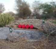 Common Space 2 Jawai Jungle Safari Camp