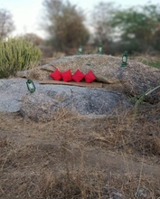 Common Space 4 Jawai Jungle Safari Camp