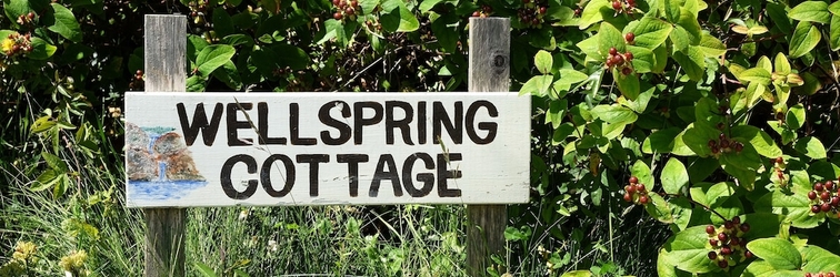 Exterior Wellspring Cottage nr Kynance Cove