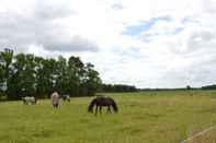 Fitness Center Child-friendly Apartment on a Farm With Garden in Fochteloo