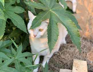 Sảnh chờ 2 White Cat B&B